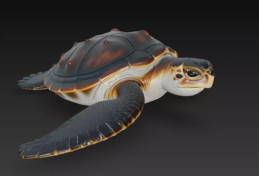 Sea Turtle Realistic 3D Model - Low Poly Realistic Low-poly 3D model