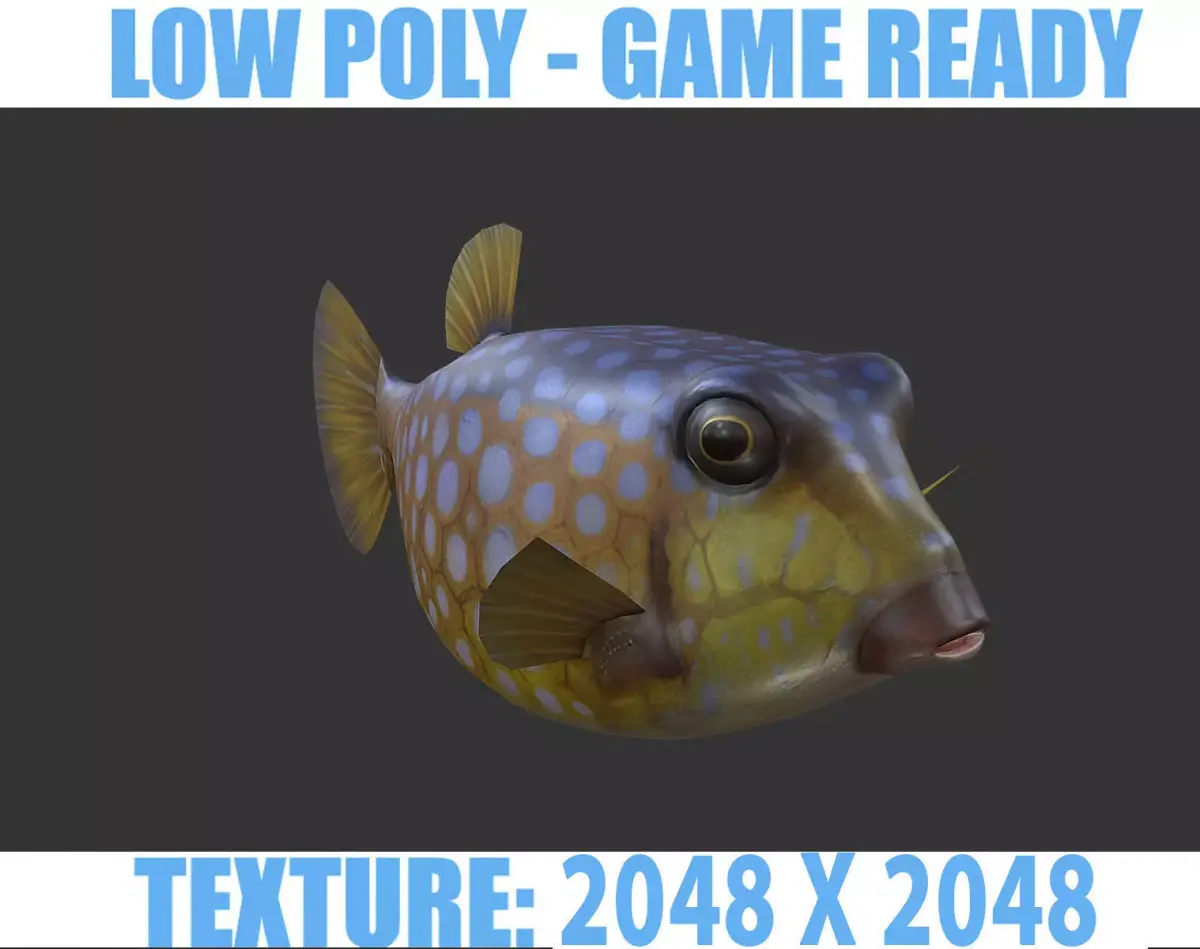 Bo Hom  Low-poly 3D model