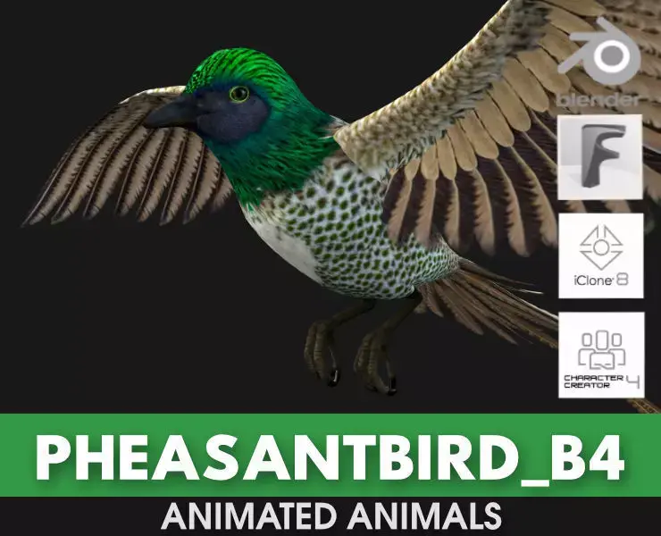 PheasantBird B4 3D model