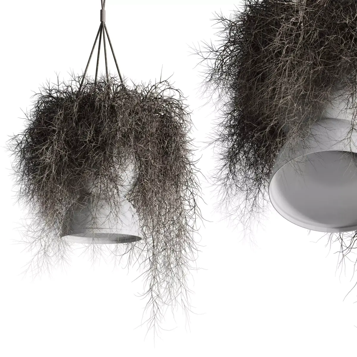 birds nest with pendant lights Low-poly 3D model