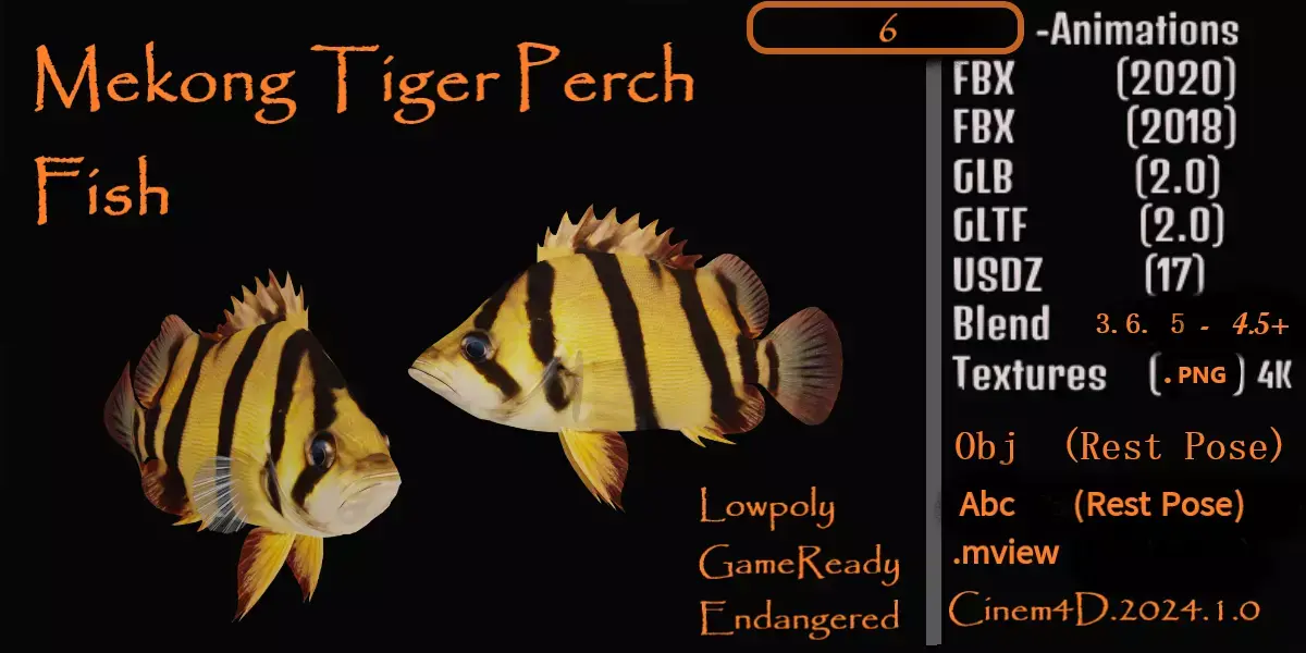 Mekong Tiger Perch Fish Low-poly 3D model