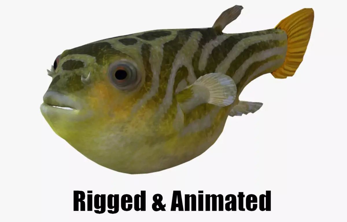 animated pufferfish blowfish puffer 3D model