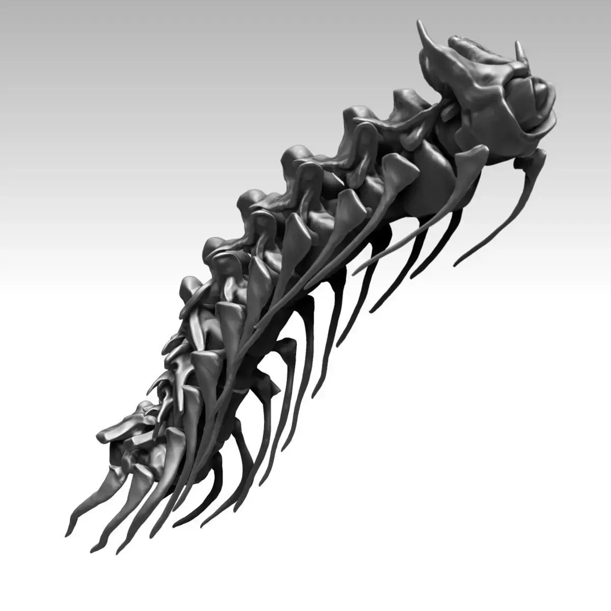 Spinosaurus 2020 version Neck Set Skeletons 3D model