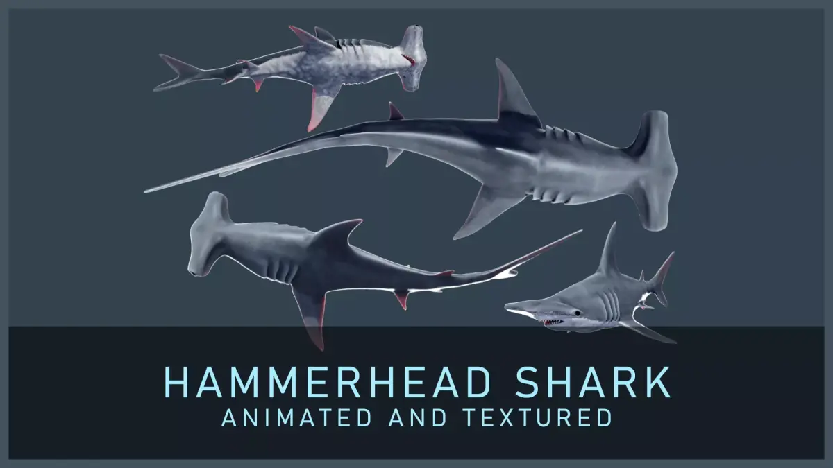 Hammerhead Shark Low-poly 3D model purchase