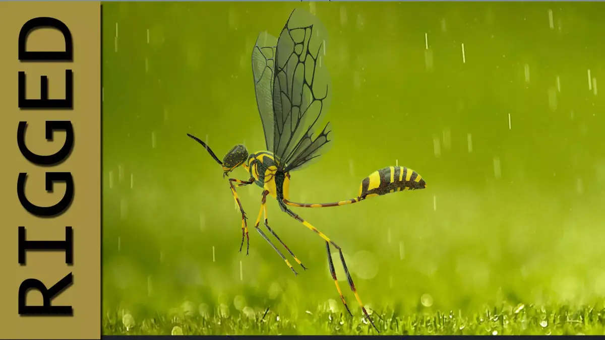 Wasp 3d model with basic rig setup  3D model