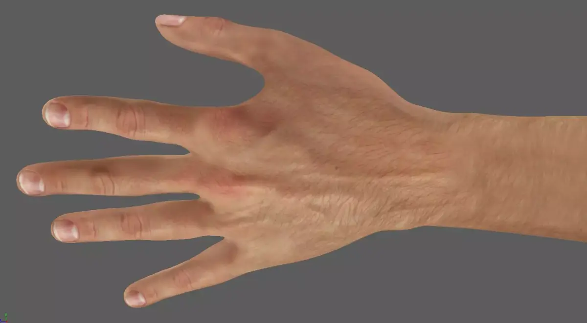 high resolution hand ready for close shoots  3D model