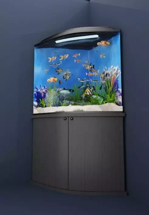 Corner aquarium 3D model