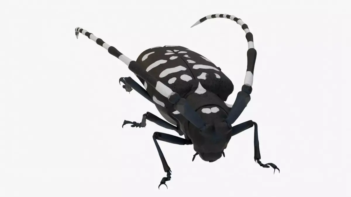 4K Longhorn Beetle Low-poly 3D model