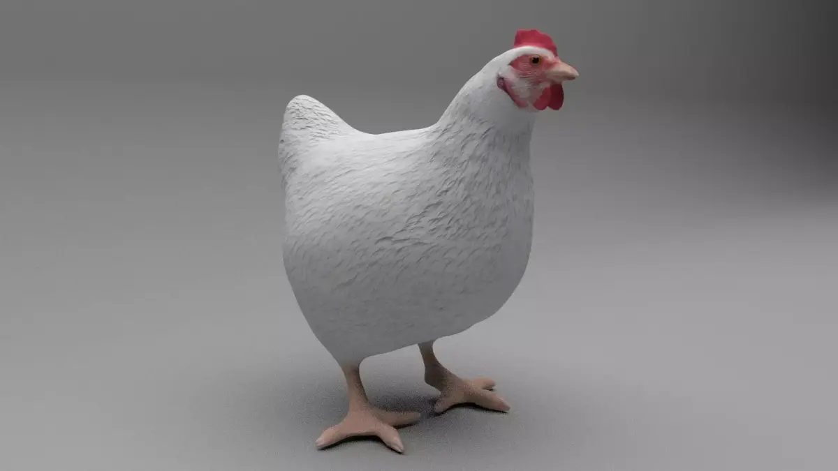 Chicken Low-poly 3D model purchase