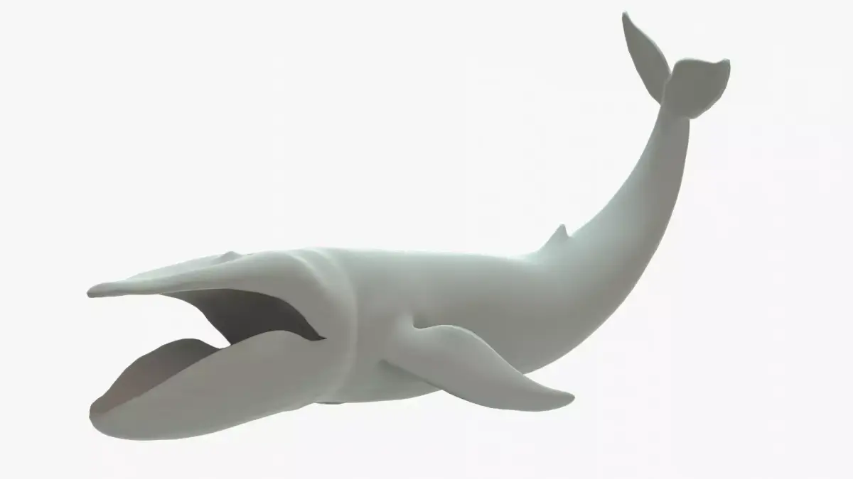 Blue Whale Rigged Basemesh Low-poly 3D model