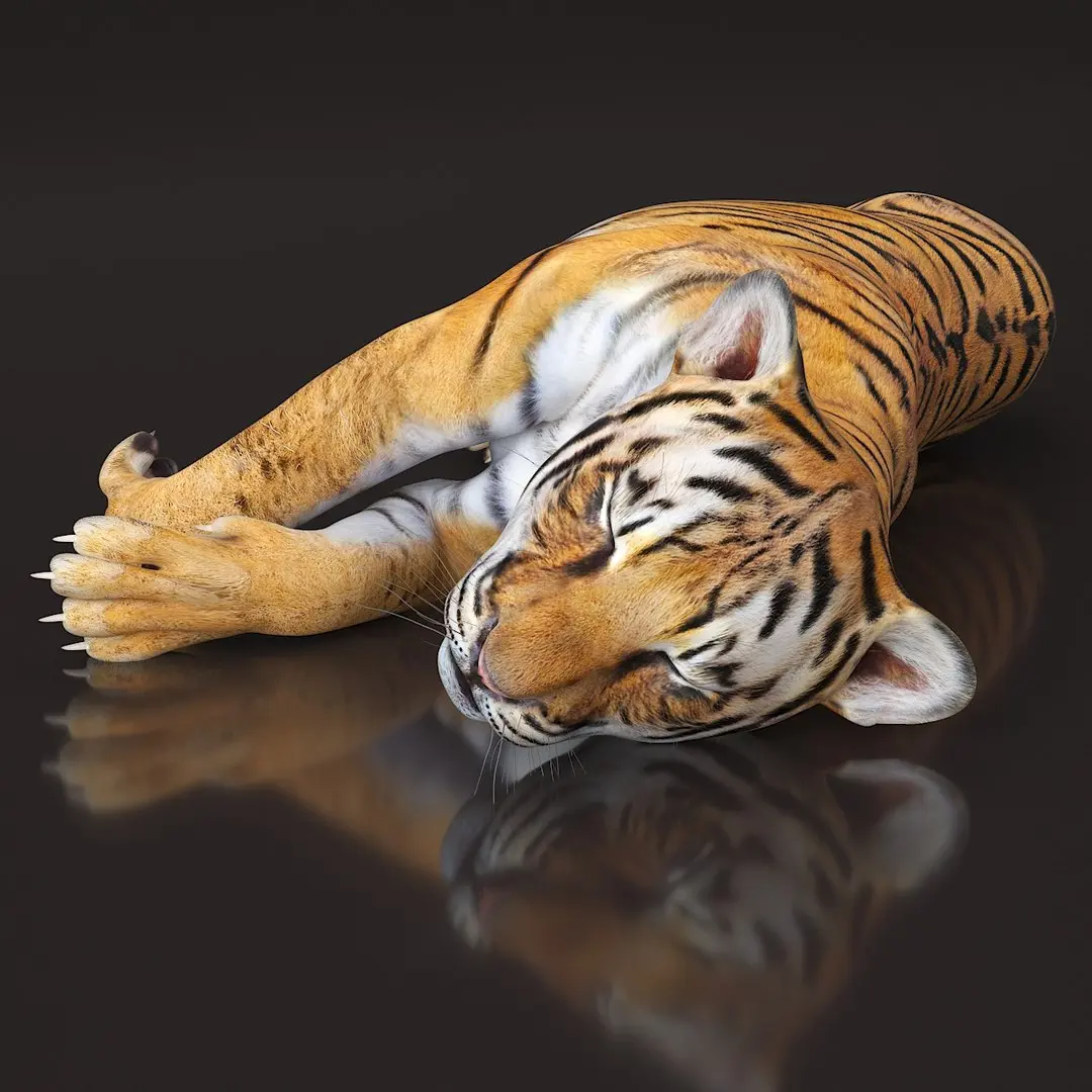 Tiger Cub Sleeping 3D model