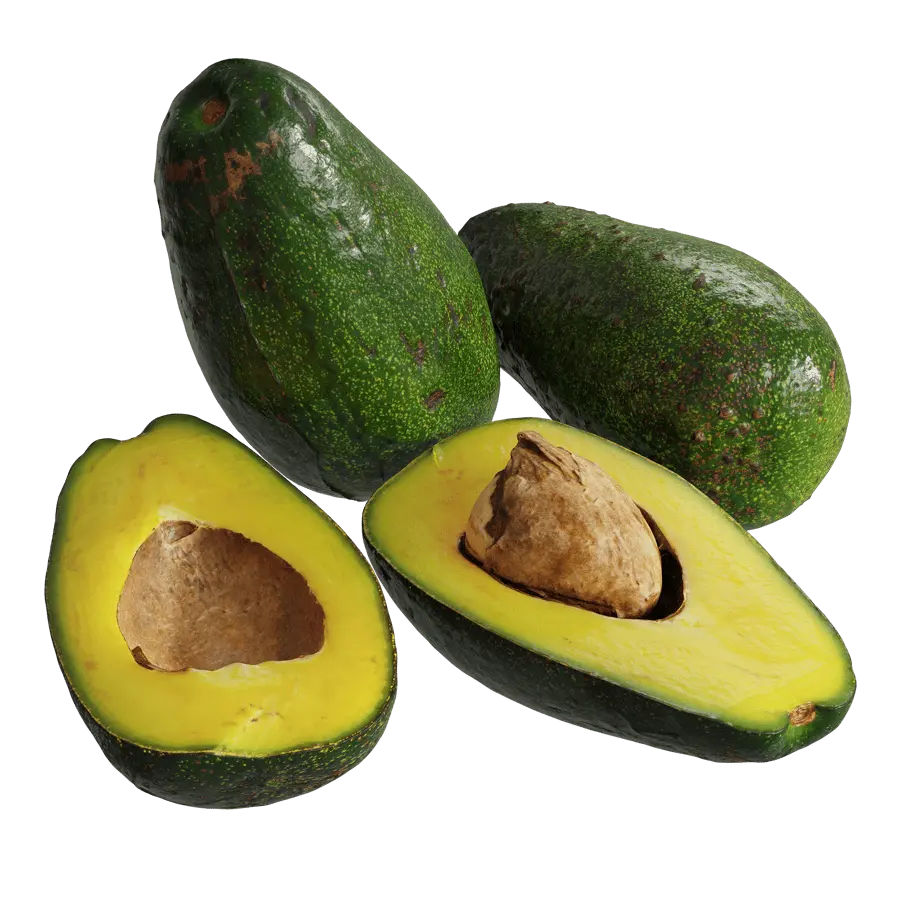  Zutano Avocado Models 
