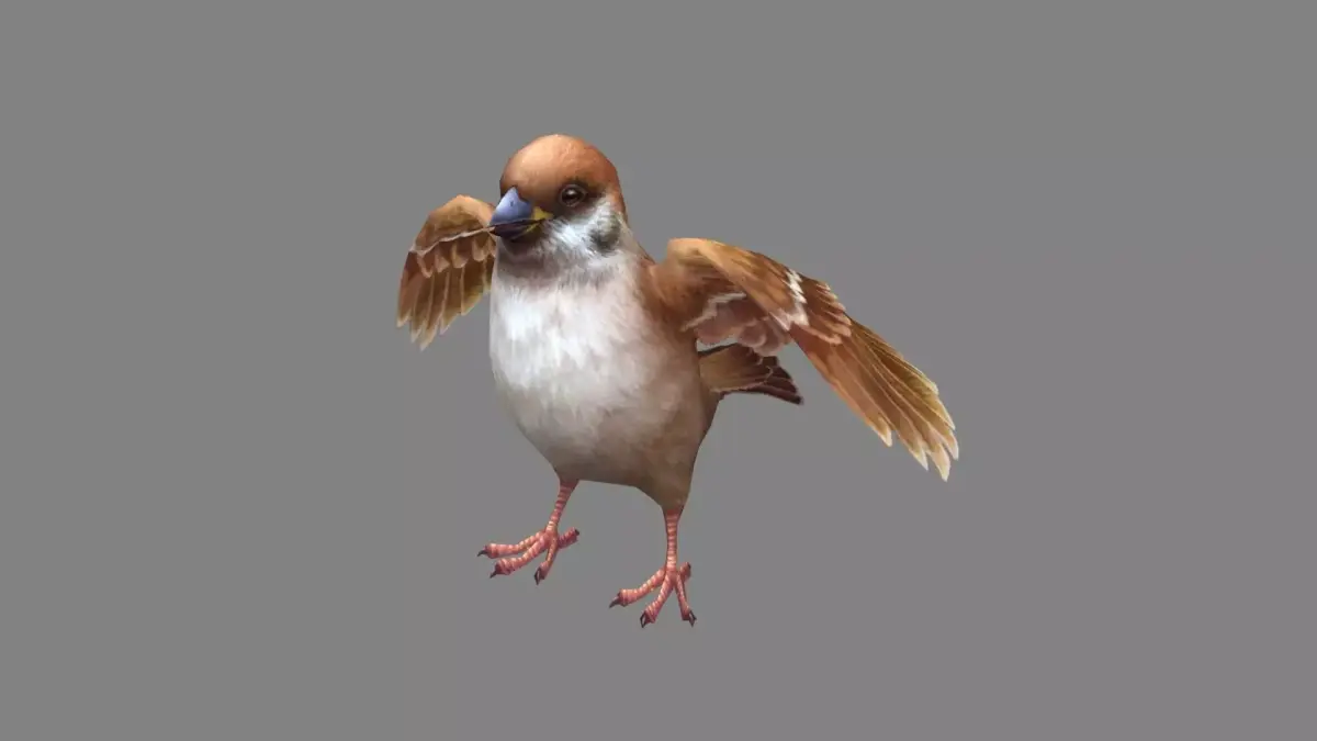 Cartoon sparrow Low-poly 3D model