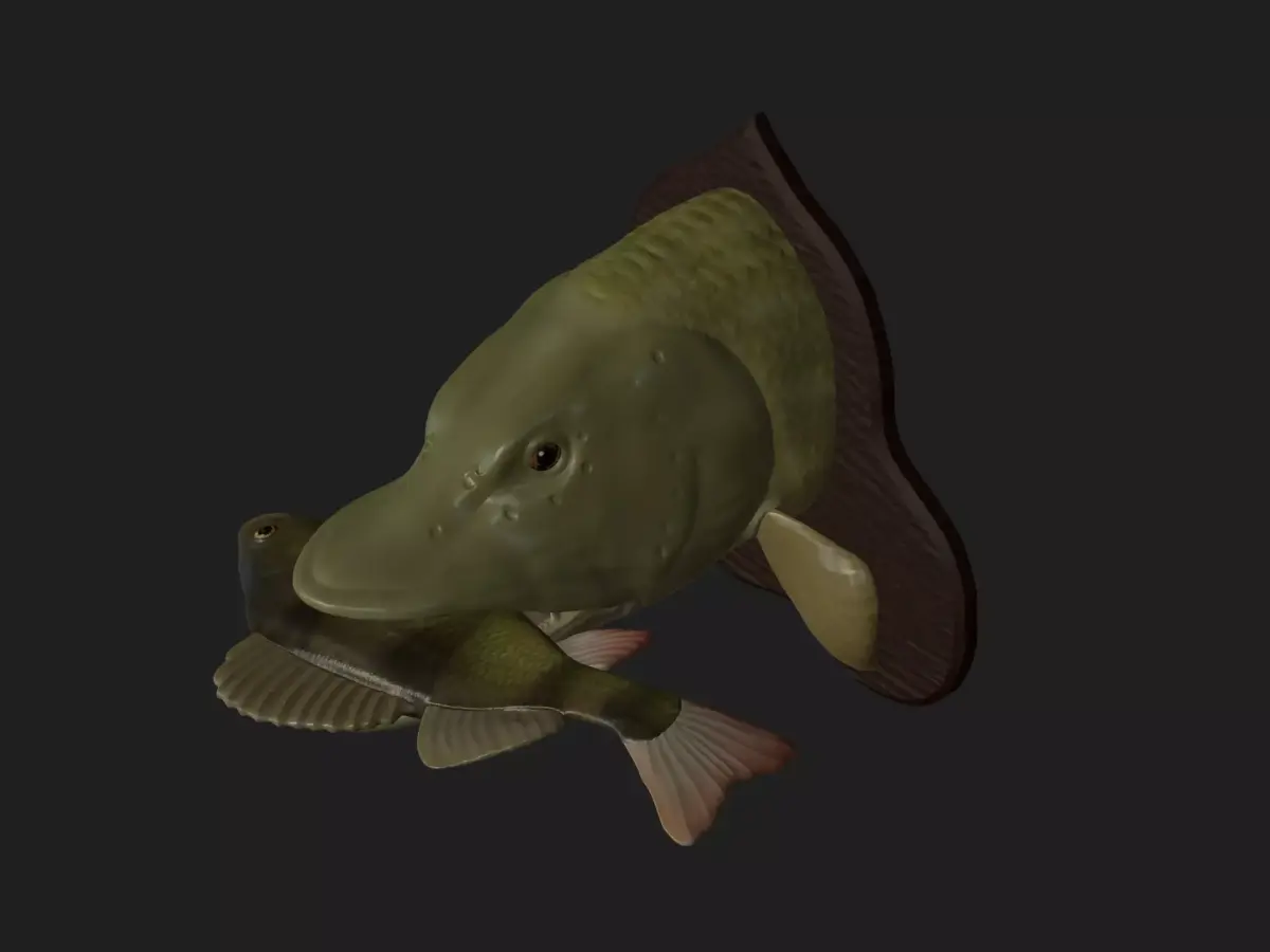PIKE EAT PERCH DETAILED TEXTURE TROPHY TAXIDERMY FOR 3D PRINTING Free 3D print model