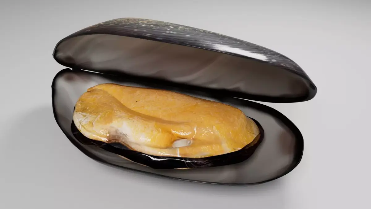 Mussel 3D model