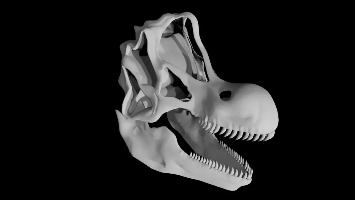 Brachiosaurus skull Low-poly 3D model