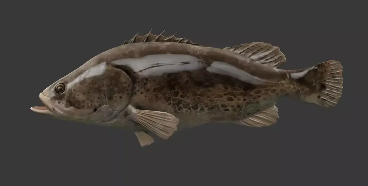 mandarin fish Low-poly 3D model purchase