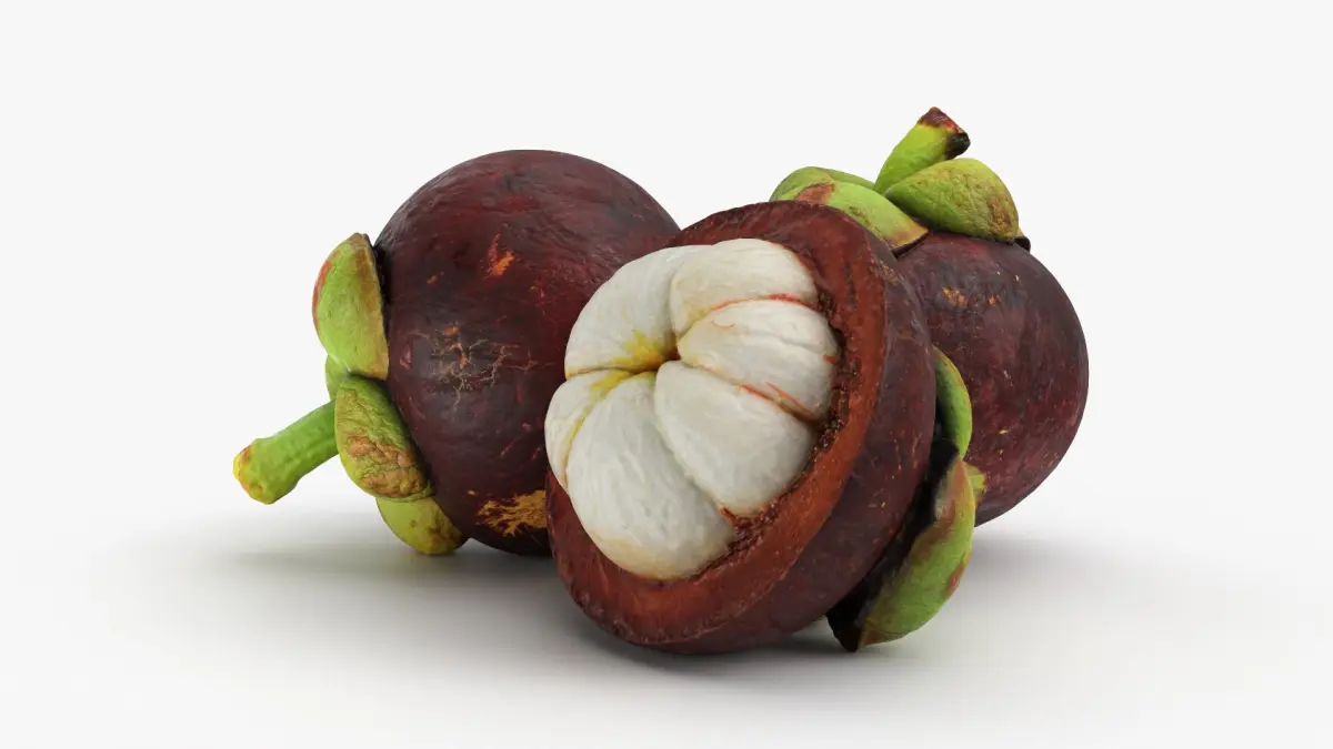Mangosteen Fruit 3D model