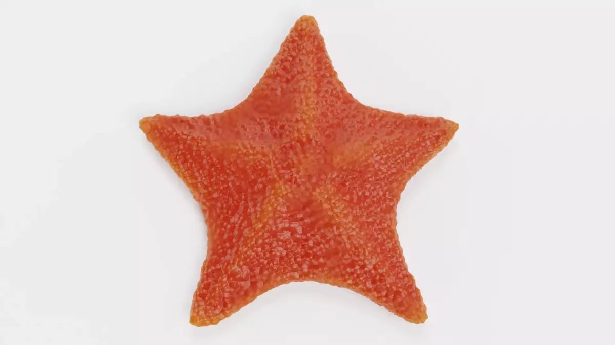 -Bat Starfish - Red- 3D model