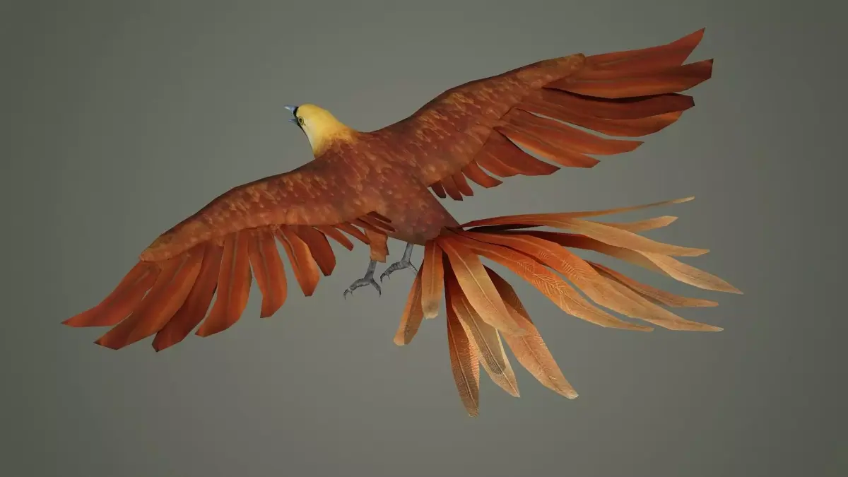 pheasant bird feather wing game hunt hunting wild forest  3D model