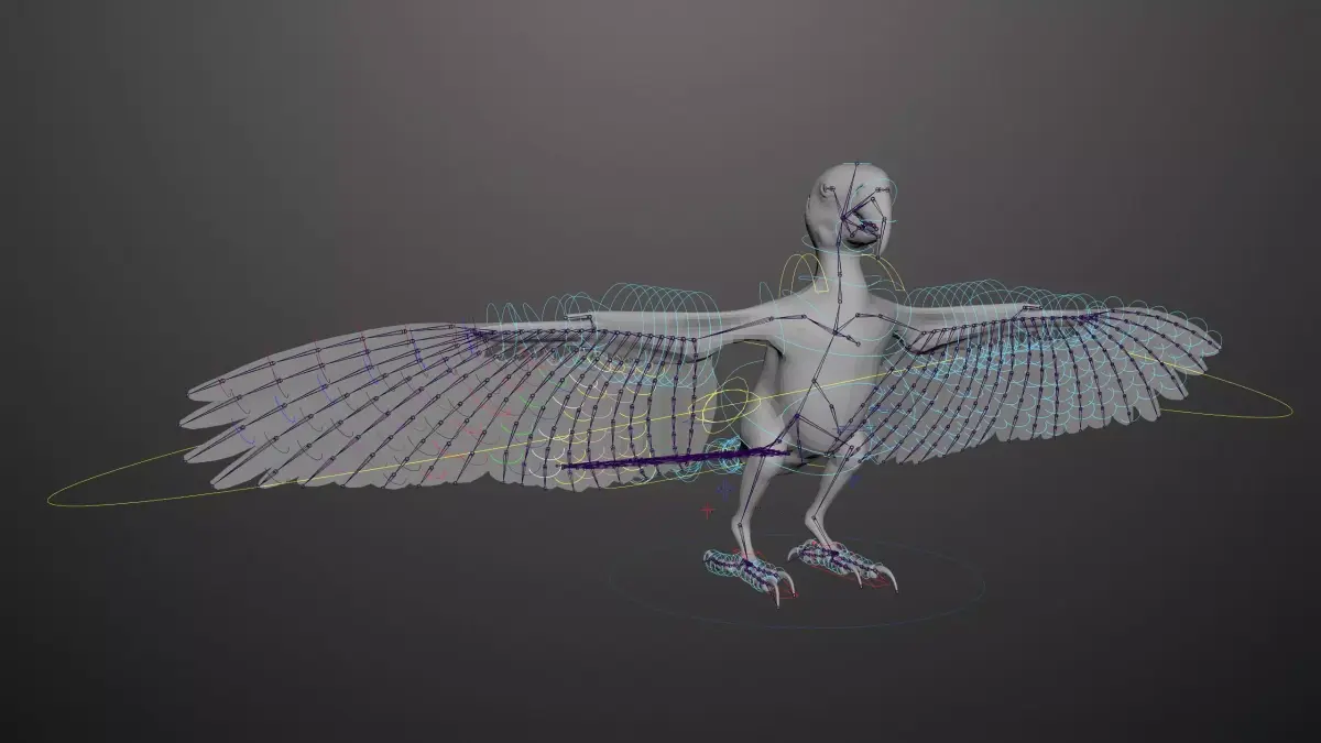 Basic model with Animation RIG of Macaw 3D model