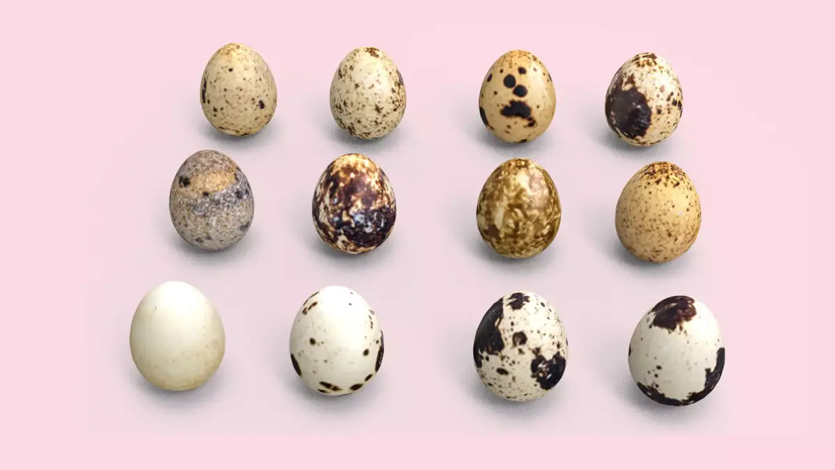  Bird Eggs Free low-poly 3D model