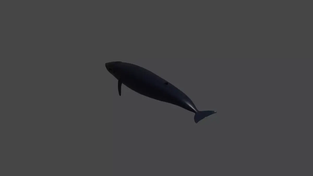 Basic blueWhale baleine bleu Blaue Wal 3D model