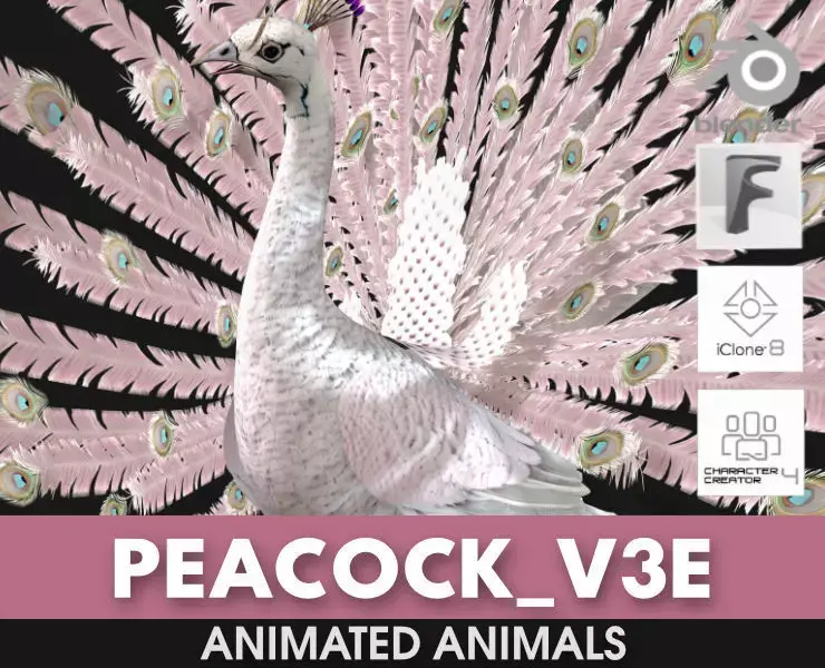 Peacock V3E 3D model