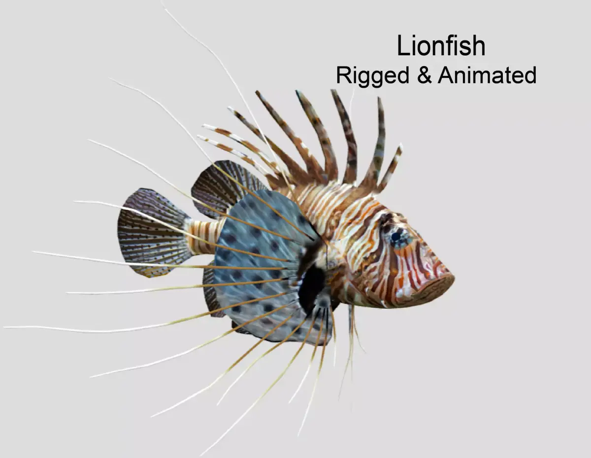 Lionfish Realistic Animated Low-poly 3D model