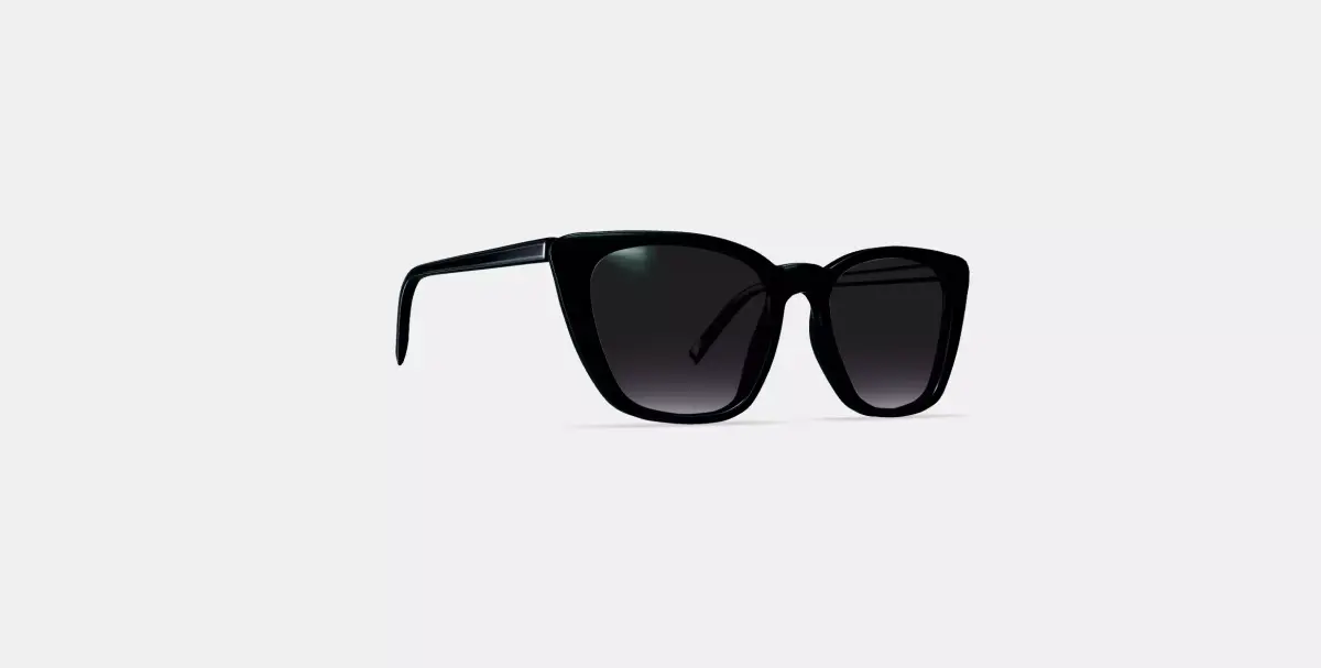 Janelle Sunglasses in Jet Black 3D model