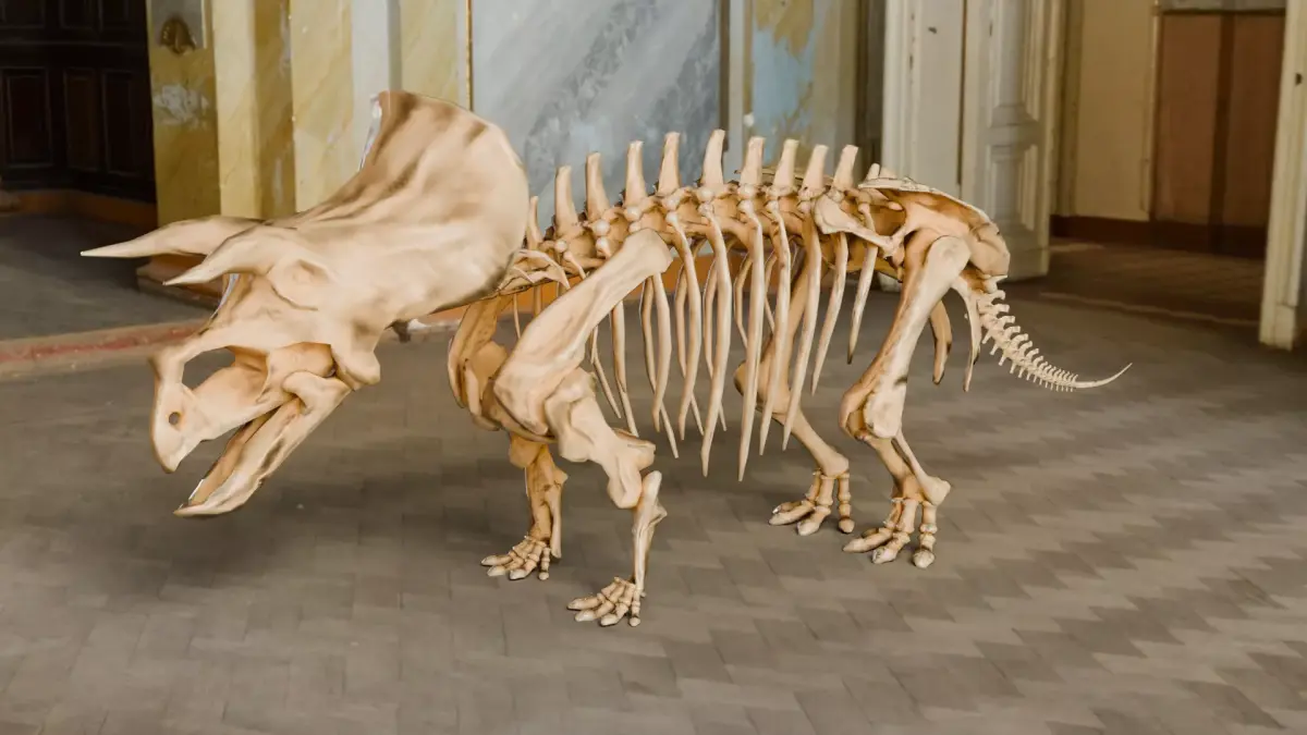 Realistic Ancient Reptilians Fossil - Triceratops Low-poly 3D model
