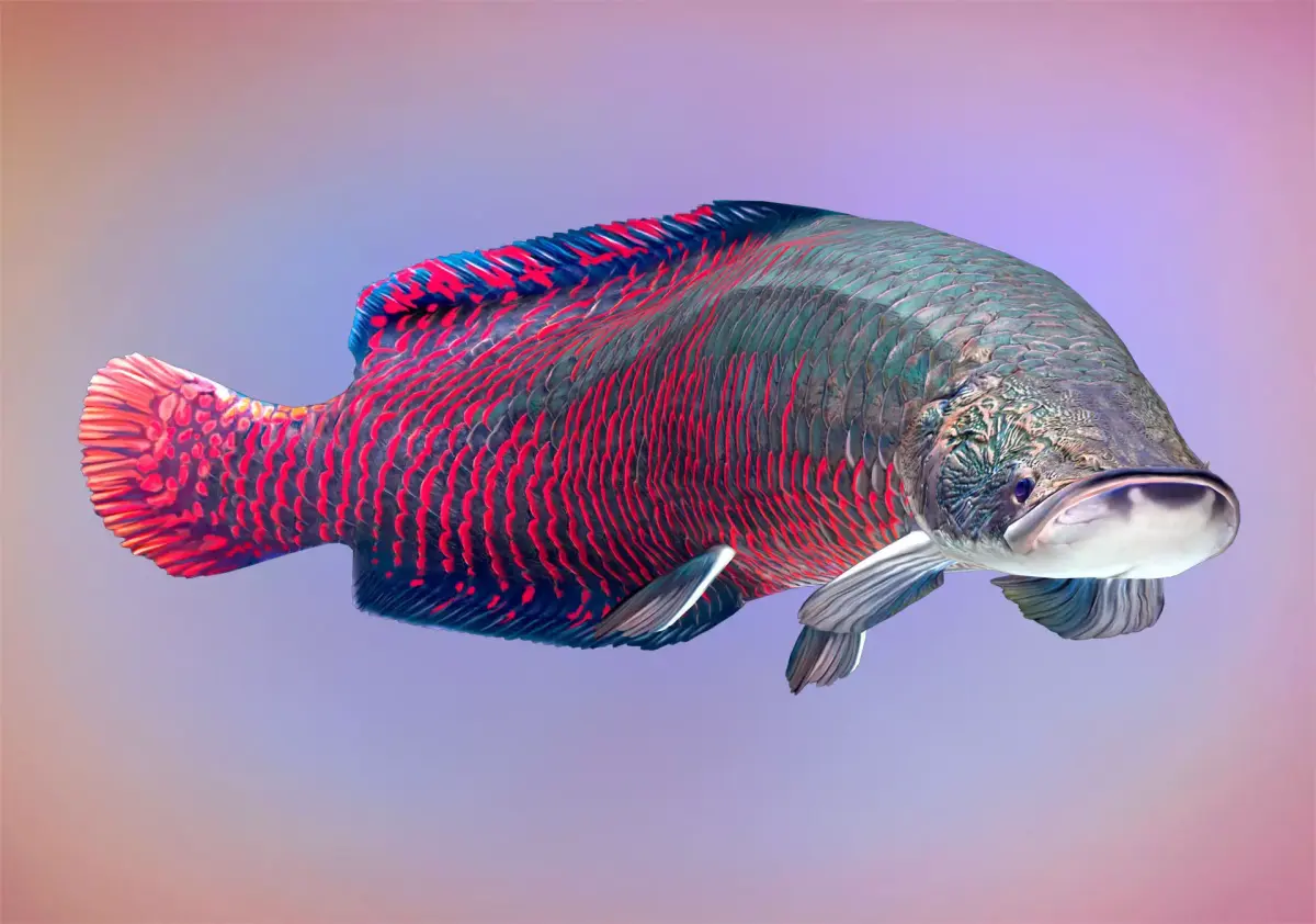 Fish Arapaima Gigas Low-poly 3D model