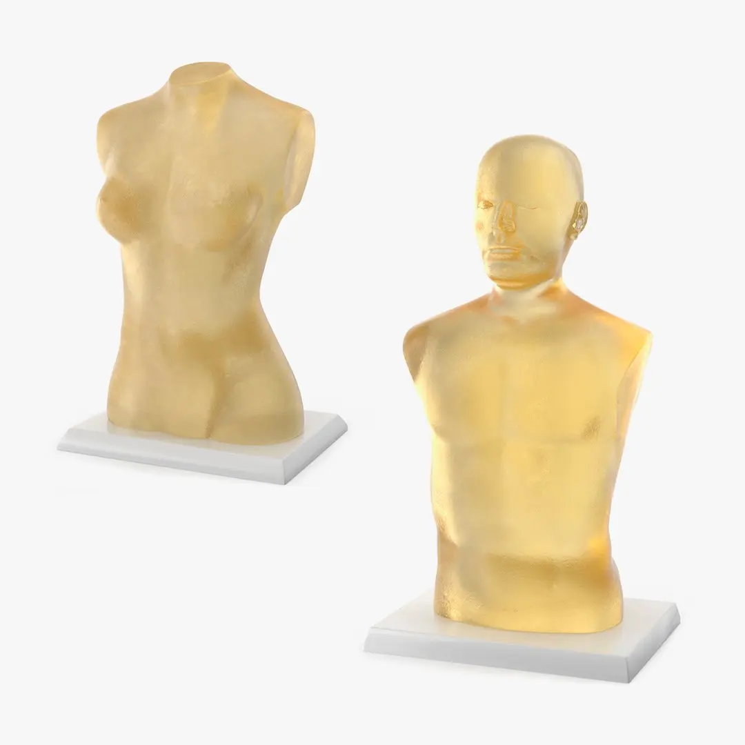 Ballistic Gel Dummies Collection 3D model