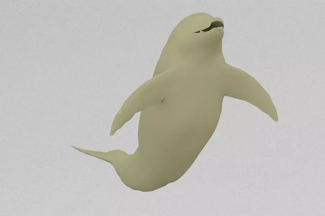 dolphin Free 3D print model