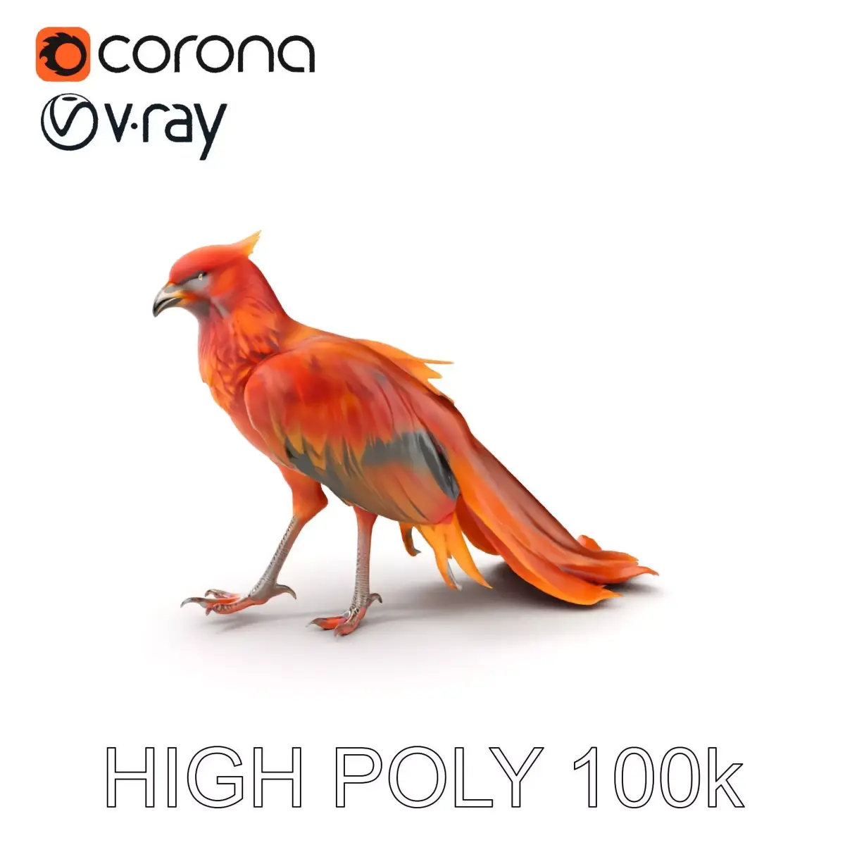 Exotic Bird D Model Pack with Detailed Plumage Low-poly 3D model