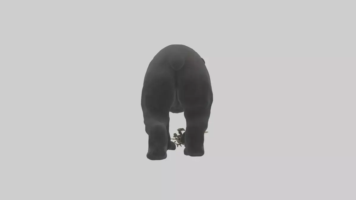 Black Bear cub exploring model 3D model