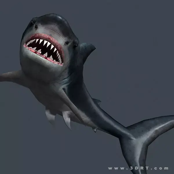 3DRT - Shark Jaws Pack Low-poly 3D model