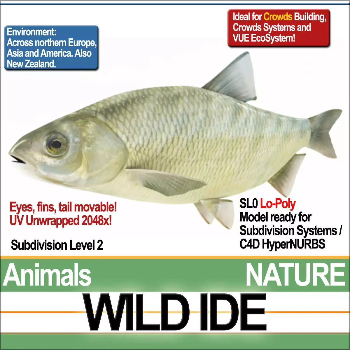 Wild Ide 3D model