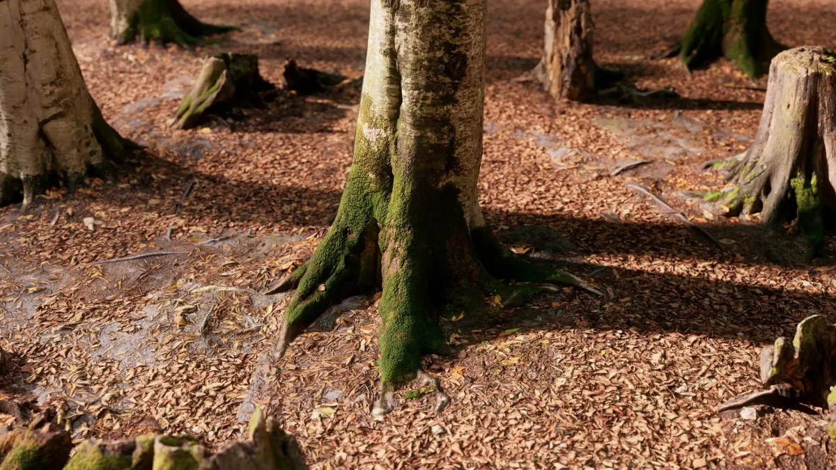 European Beech 01 3D Scanned Animated 3D model