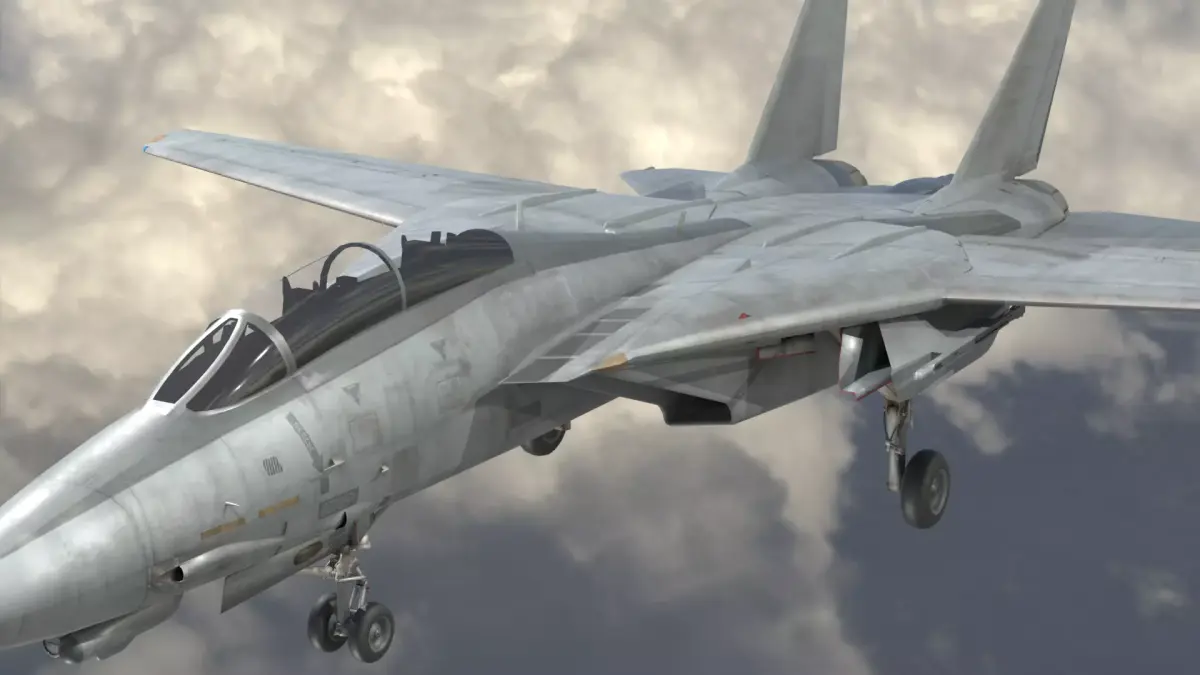 Grumman F-14 Tomcat 3D model