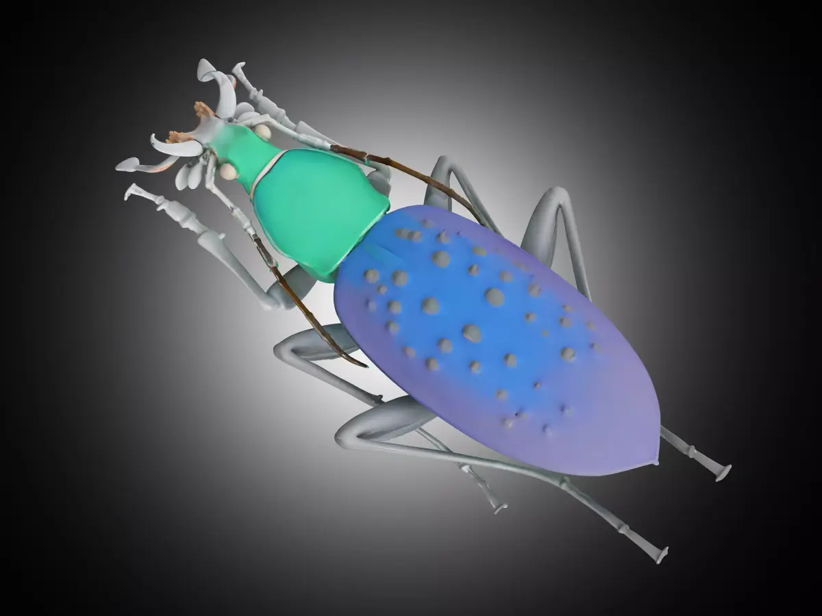 Insect 3D model buy