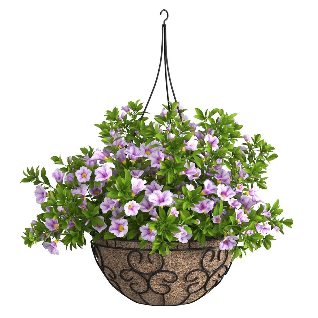 Petunia Hanging Basket Light Purple 3D model
