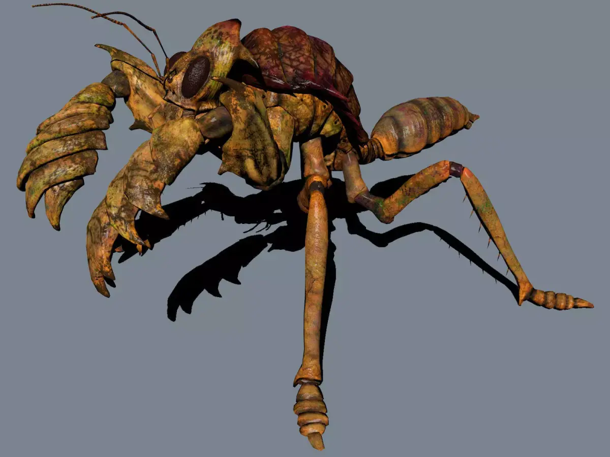 The mole mantis Low-poly 3D model