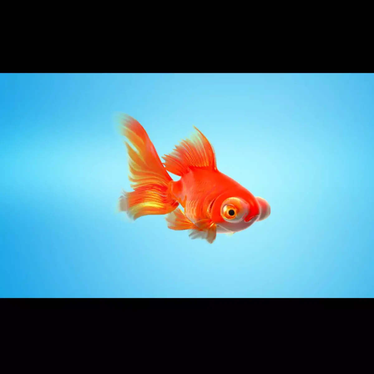 Goldfish Full RIGGED ANIMATED  3D model