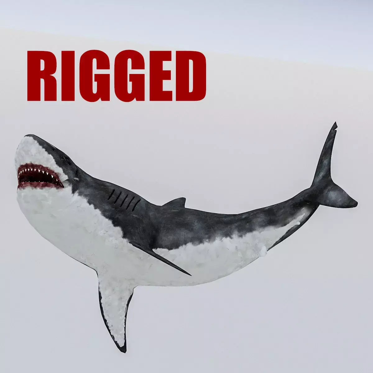 3D Rigged Shark Model Low-poly 3D model