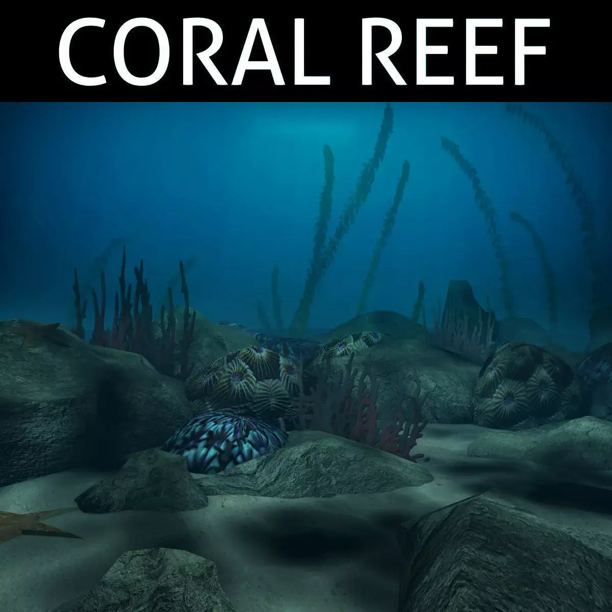 Coral reef low poly Low-poly 3D model