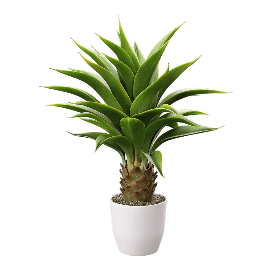  Agave Plant Succulent Potted Plant Model  buy