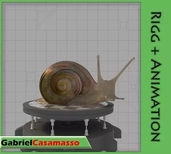 Snail 3D model 4