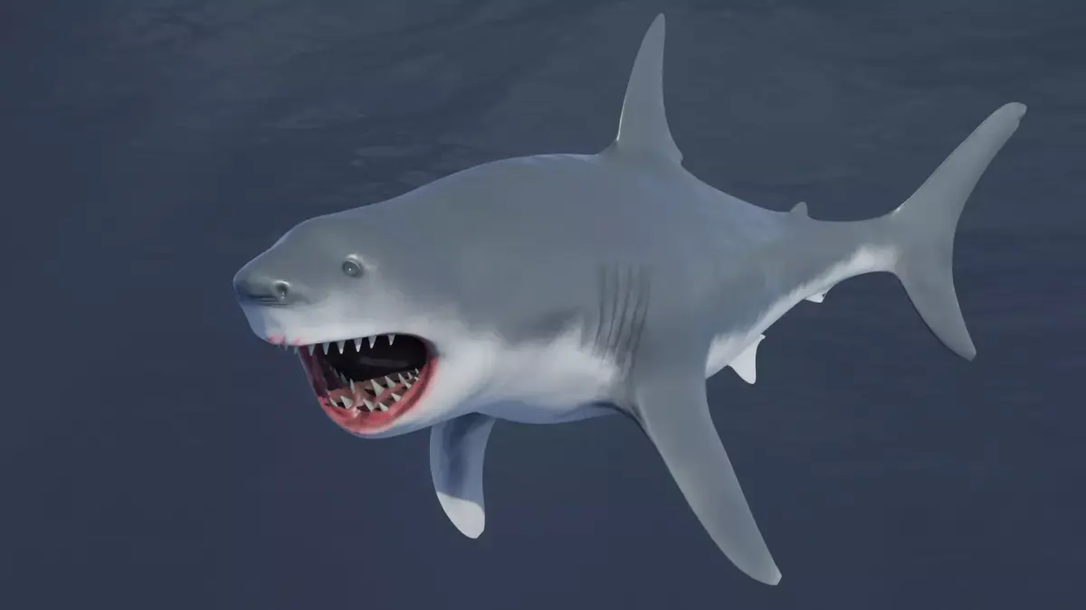 Great White Shark NO Rigged in Blender Low-poly 3D model