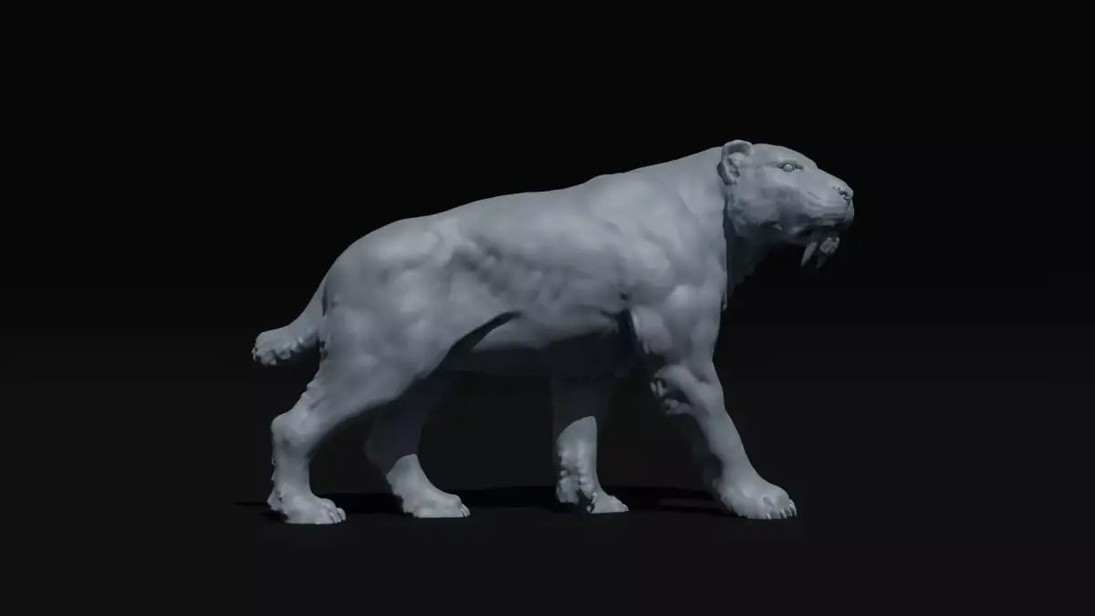 Realistic Smilodon Saber-toothed cat basemesh 3D print model